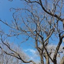 北京旅游 缩略图 2
