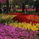 北京旅游 缩略图 2