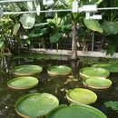 北京旅游 缩略图 10