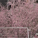 北京旅游 缩略图 7