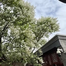 北京旅游 缩略图 6