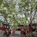 北京旅游 缩略图 4