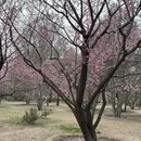 北京旅游 缩略图 4