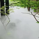 北京旅游 缩略图 1