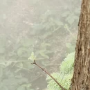 北京旅游 缩略图 7