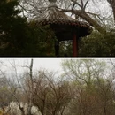 北京旅游 缩略图 5
