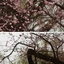 北京旅游 缩略图 1