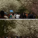 北京旅游 缩略图 2