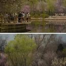 北京旅游 缩略图 3