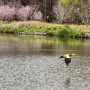北京旅游 缩略图 3