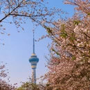 北京旅游 缩略图 2