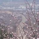北京旅游 缩略图 7