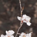 北京旅游 缩略图 14