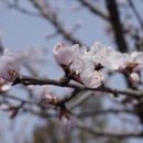 北京旅游 缩略图 11
