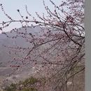 北京旅游 缩略图 8