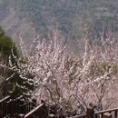 北京旅游 缩略图 9