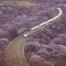 北京旅游 缩略图 1