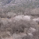 北京旅游 缩略图 16