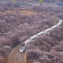北京旅游 缩略图 2