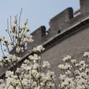 北京旅游 缩略图 5