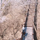 北京旅游 缩略图 3