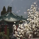 北京旅游 缩略图 3