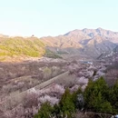 北京旅游 缩略图 3