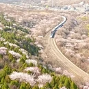 北京旅游 缩略图 2