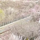 北京旅游 缩略图 4