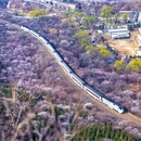 北京旅游 缩略图 2