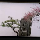北京旅游 缩略图 8