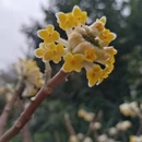 北京旅游 缩略图 1