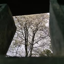 北京旅游 缩略图 6