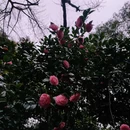北京旅游 缩略图 5
