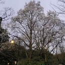 北京旅游 缩略图 7