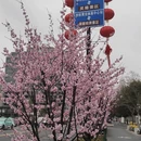 北京旅游 缩略图 14