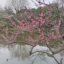 北京旅游 缩略图 13