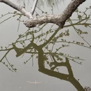 北京旅游 缩略图 12