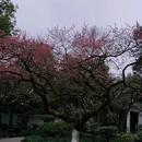 北京旅游 缩略图 10