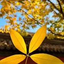北京旅游 缩略图 3