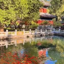 北京旅游 缩略图 13
