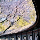 北京旅游 缩略图 1