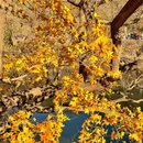 北京旅游 缩略图 12