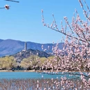 北京旅游 缩略图 4