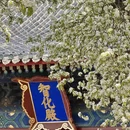 北京旅游 缩略图 12