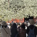 北京旅游 缩略图 11