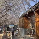 北京旅游 缩略图 15