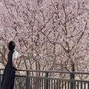 北京旅游 缩略图 17