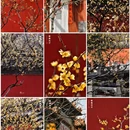 北京旅游 缩略图 1