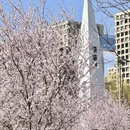北京旅游 缩略图 16